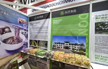 マレーシアで非揚げ麺の調達をお探しですか?秦皇島東陽食品ショーケース国際ハラール展示会